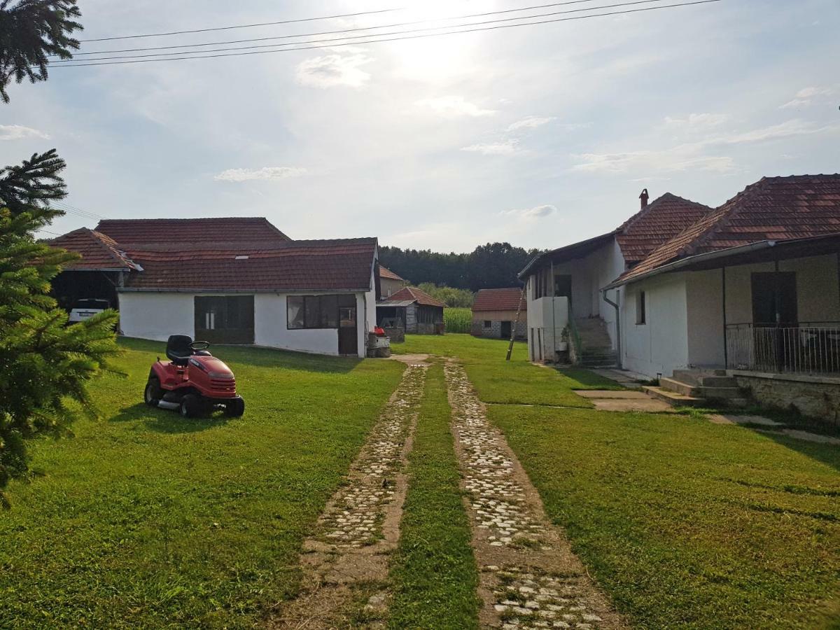 Green Apartments Kursumlija Exterior foto